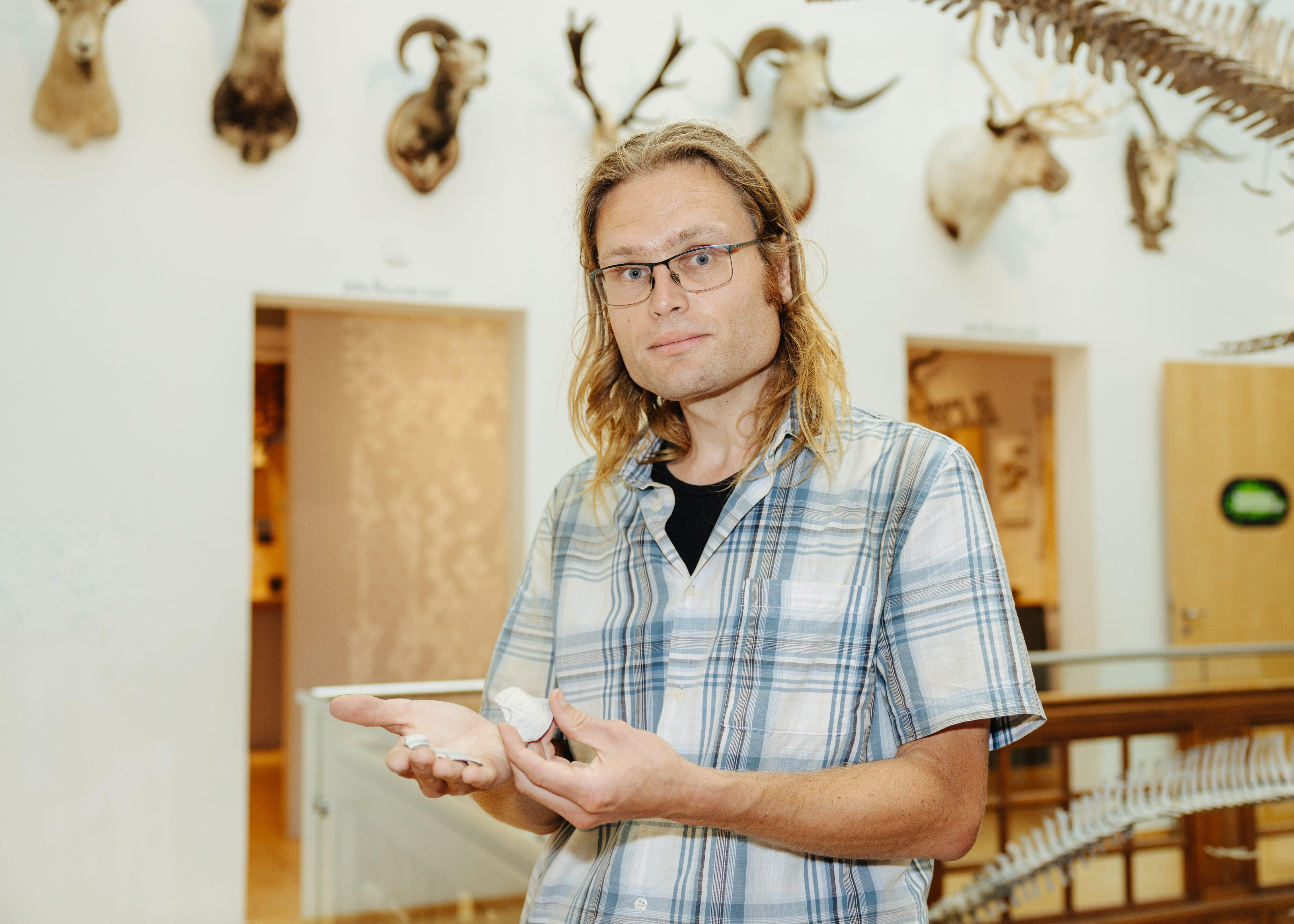 Conservator Bram Langeveld toont schelp