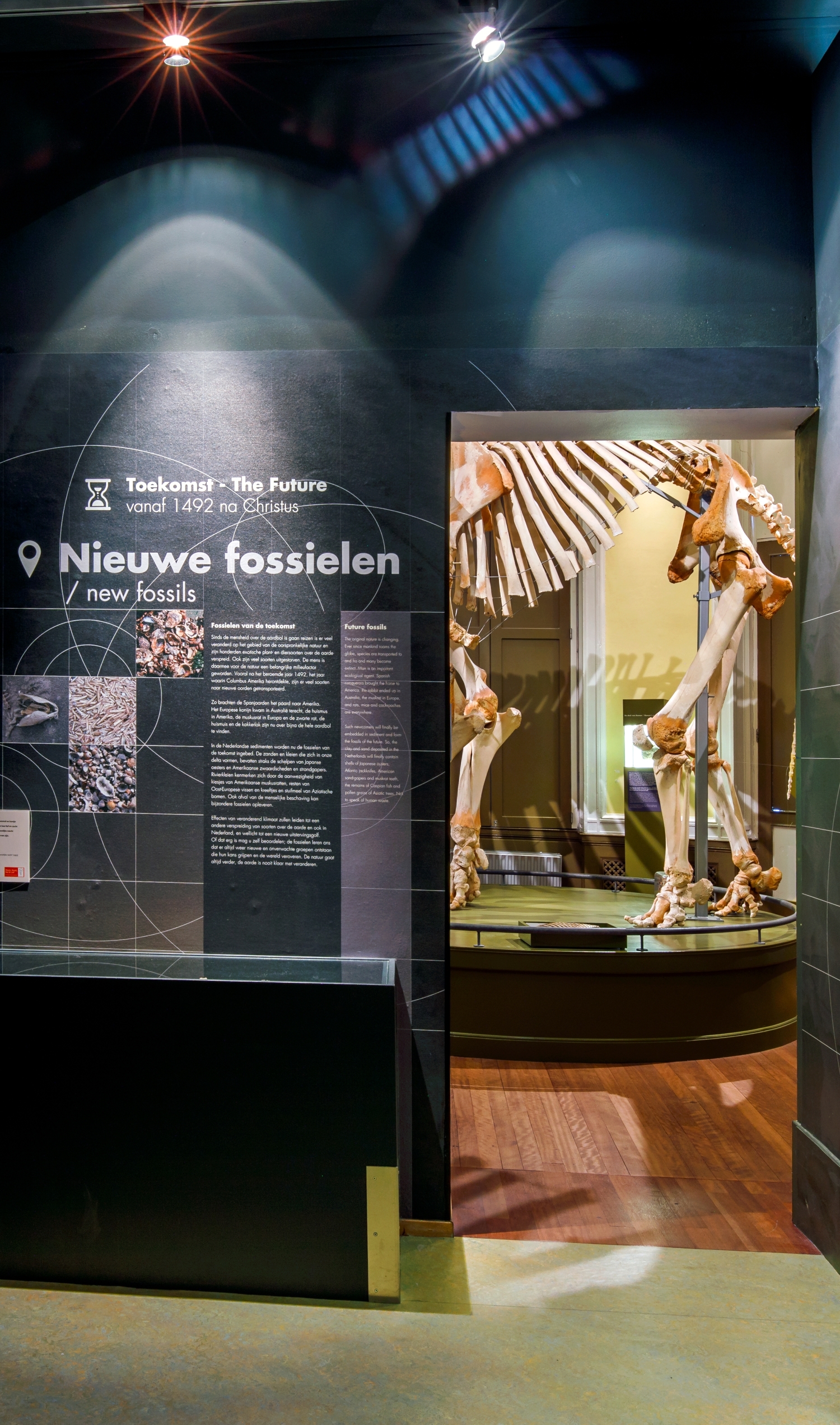 Home Natuurhistorisch Museum Rotterdam