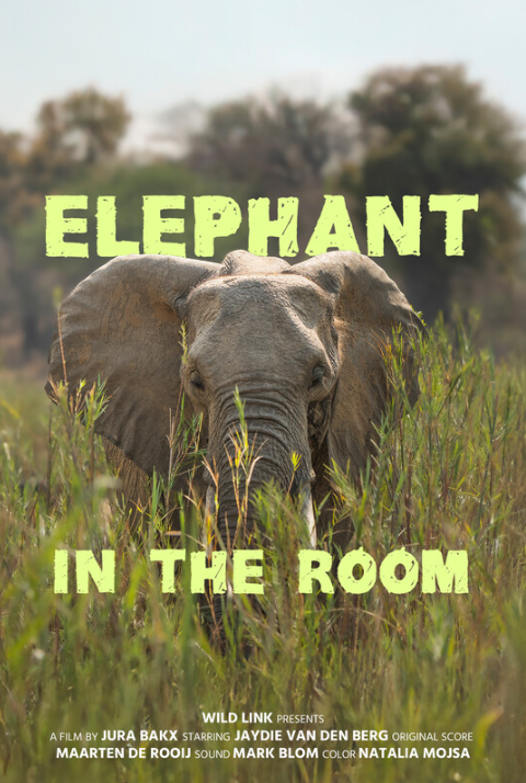 Elephant in the room