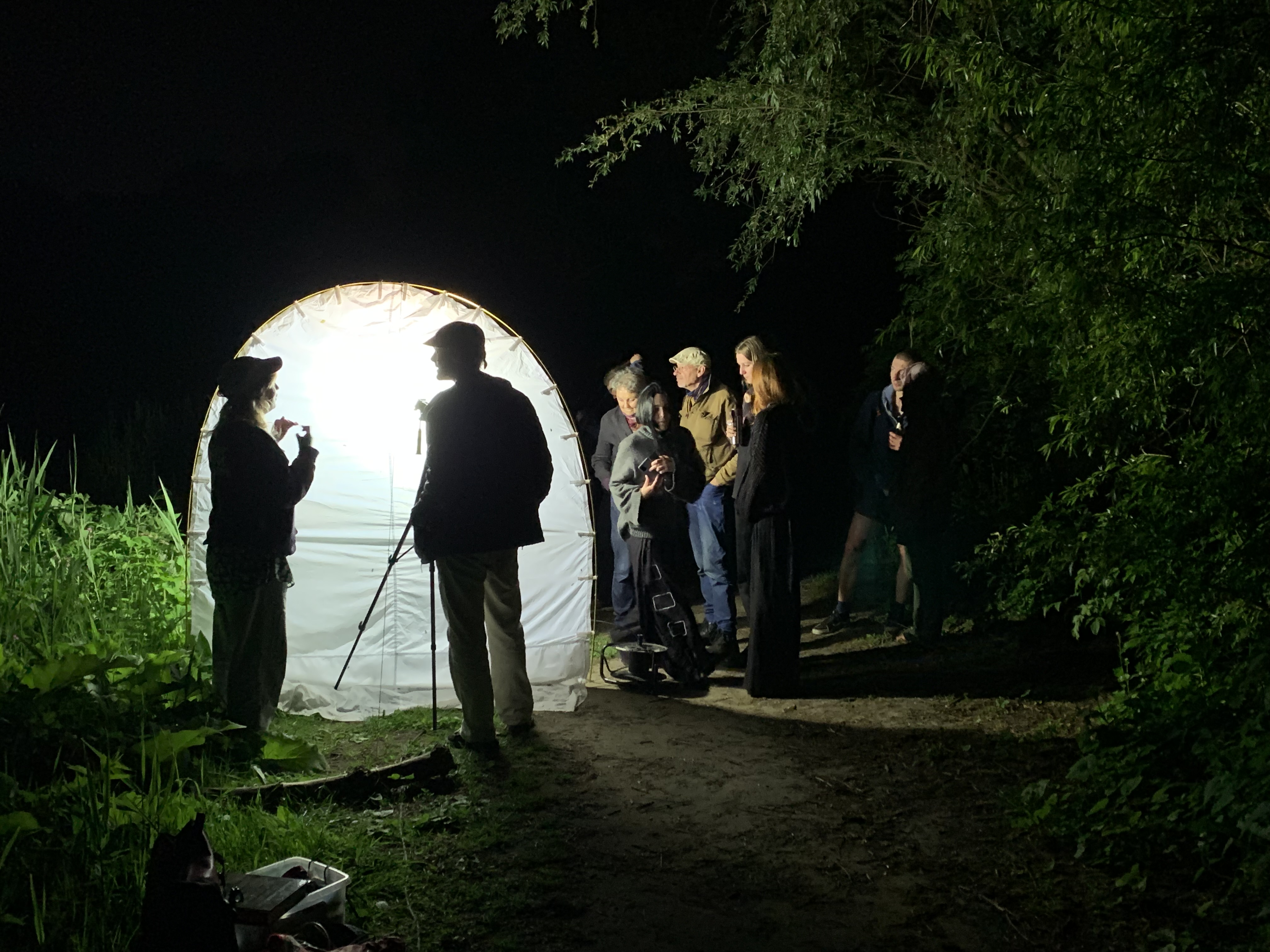 De afbeelding toont een groep mensen die in het park in het donker rond een verlicht wit laken staan. Op het laken zijn verschillende nachtvlidners geland, die door de ecologen worden toegelicht
