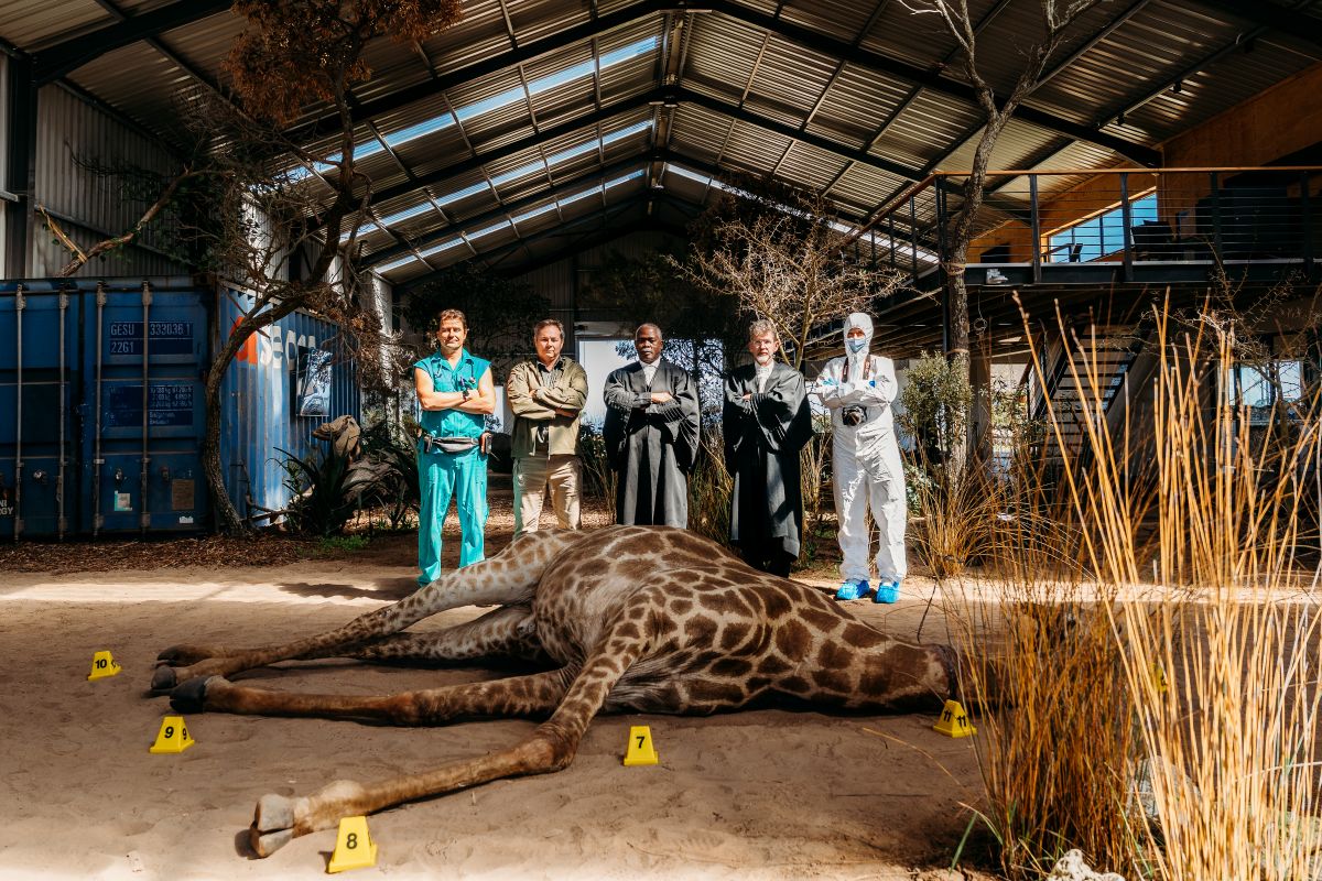 Wildlife Forensic Academy docenten team bij een gedode giraffe