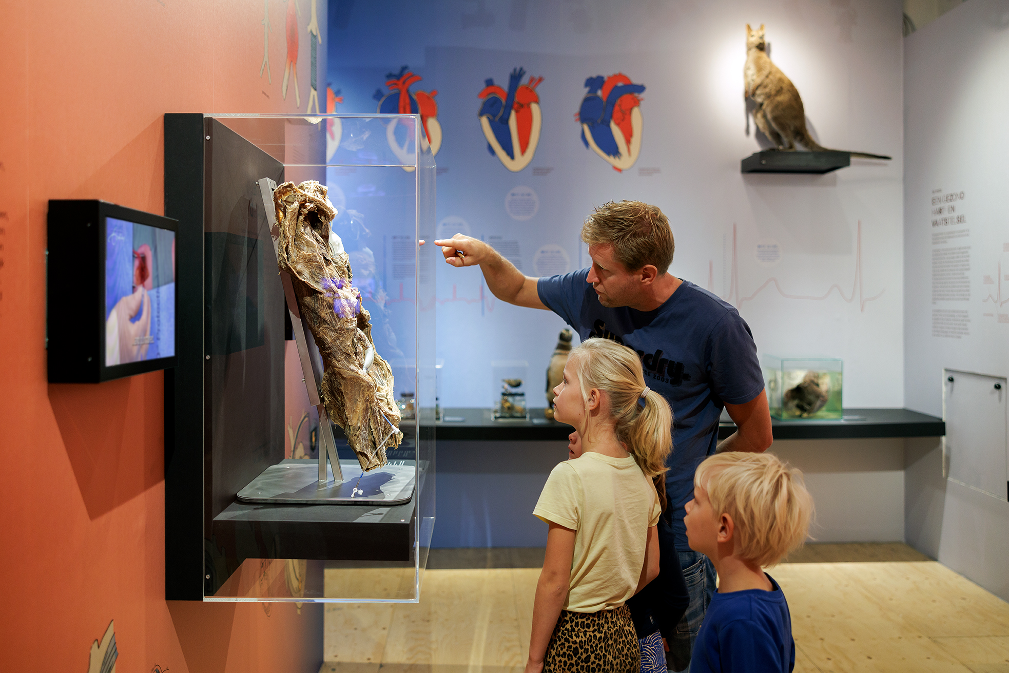 Medische interventies in een menselijk torso