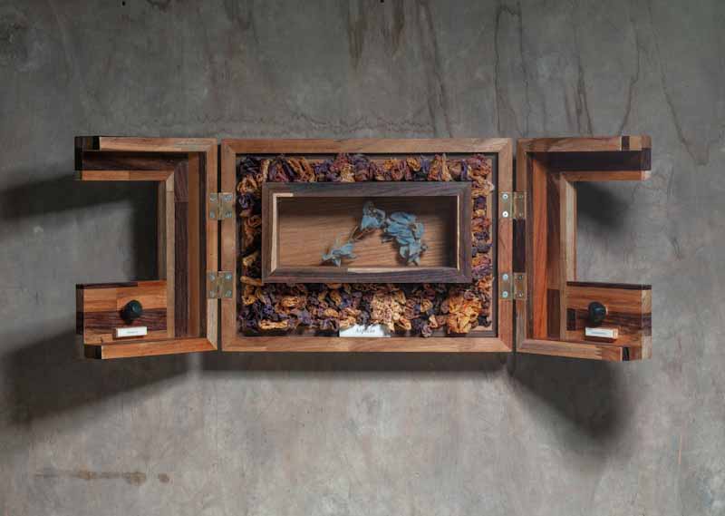 Afbeelding toont het werk Aspicio van Ab Bol, een kleine kast, die openvouwt als een drieluik en gevuld is met gedroogd bloemmateriaal