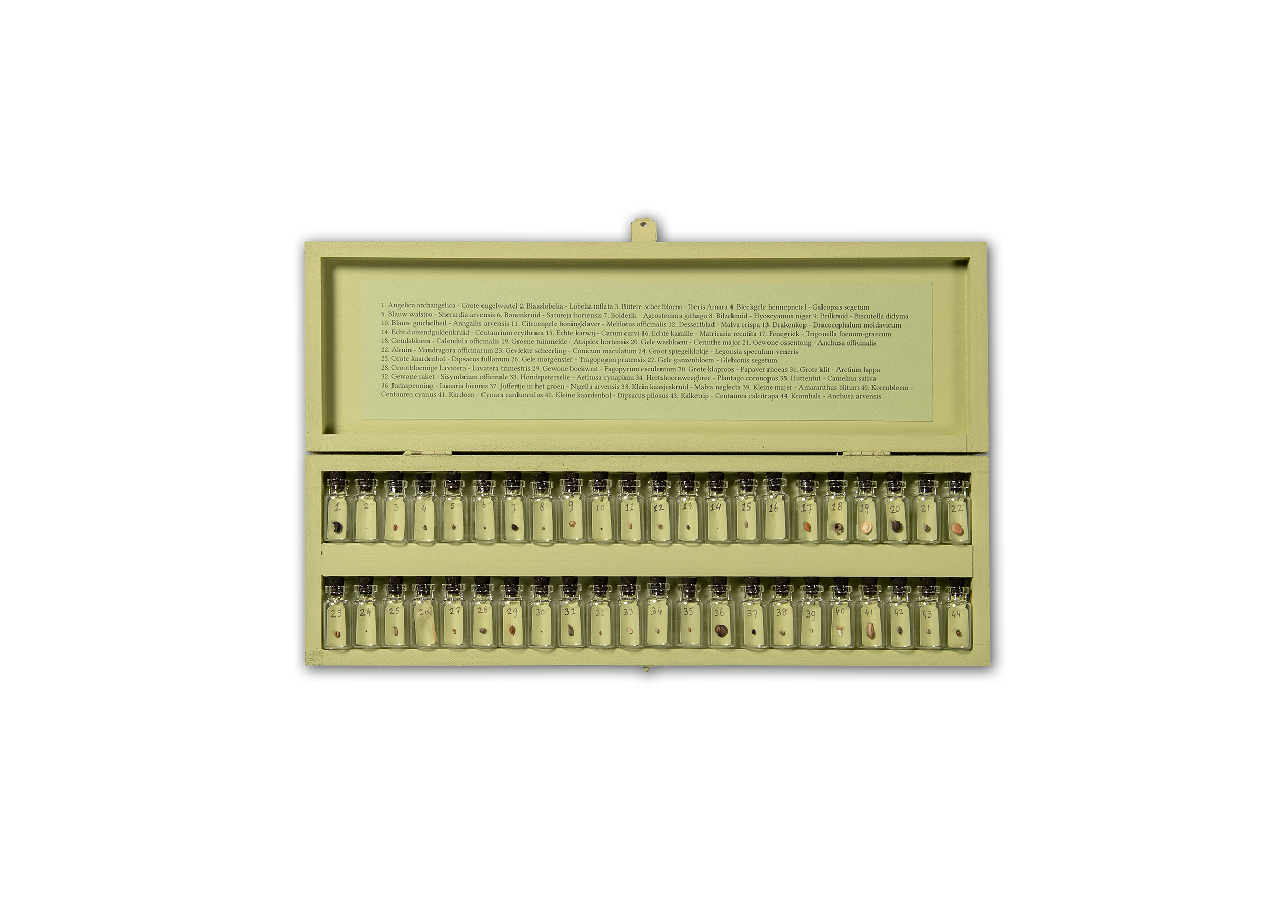 Seed archive by Mandy den Elzen